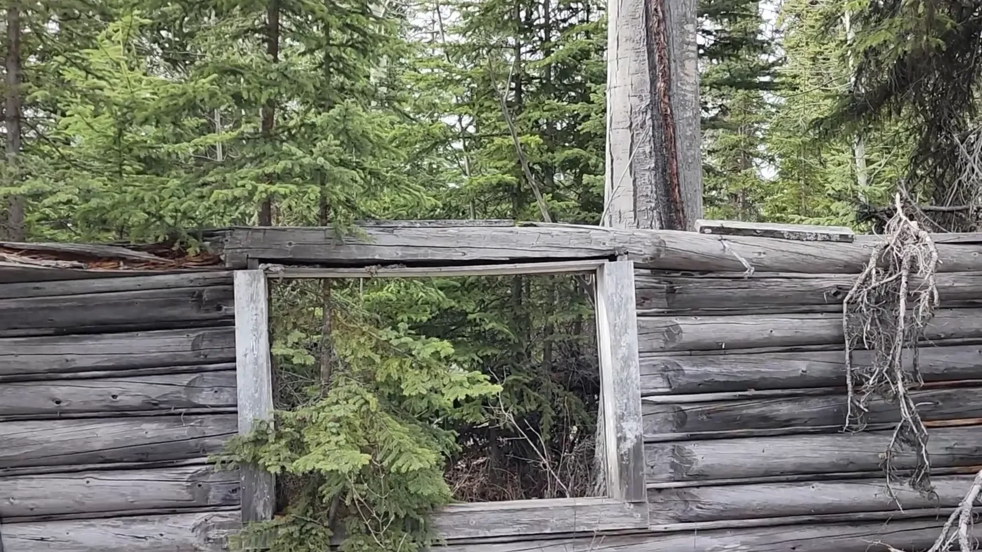 Exploring Abandoned Off Grid Cabins on Our Island! - S1 Ep3 6 Exploring multiple cabins