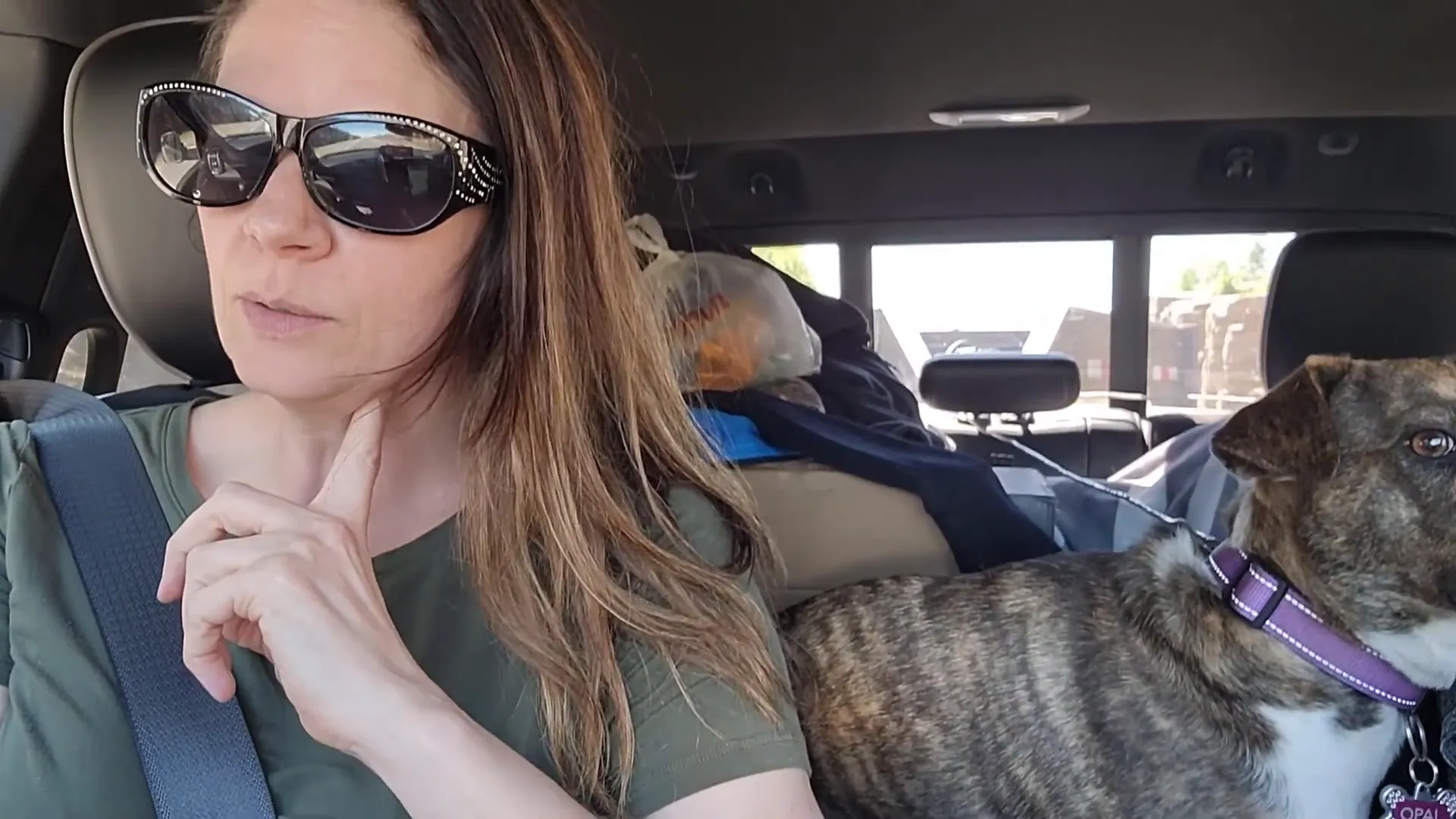 A pretty woman in dark glasses rides in a truck beside her dog