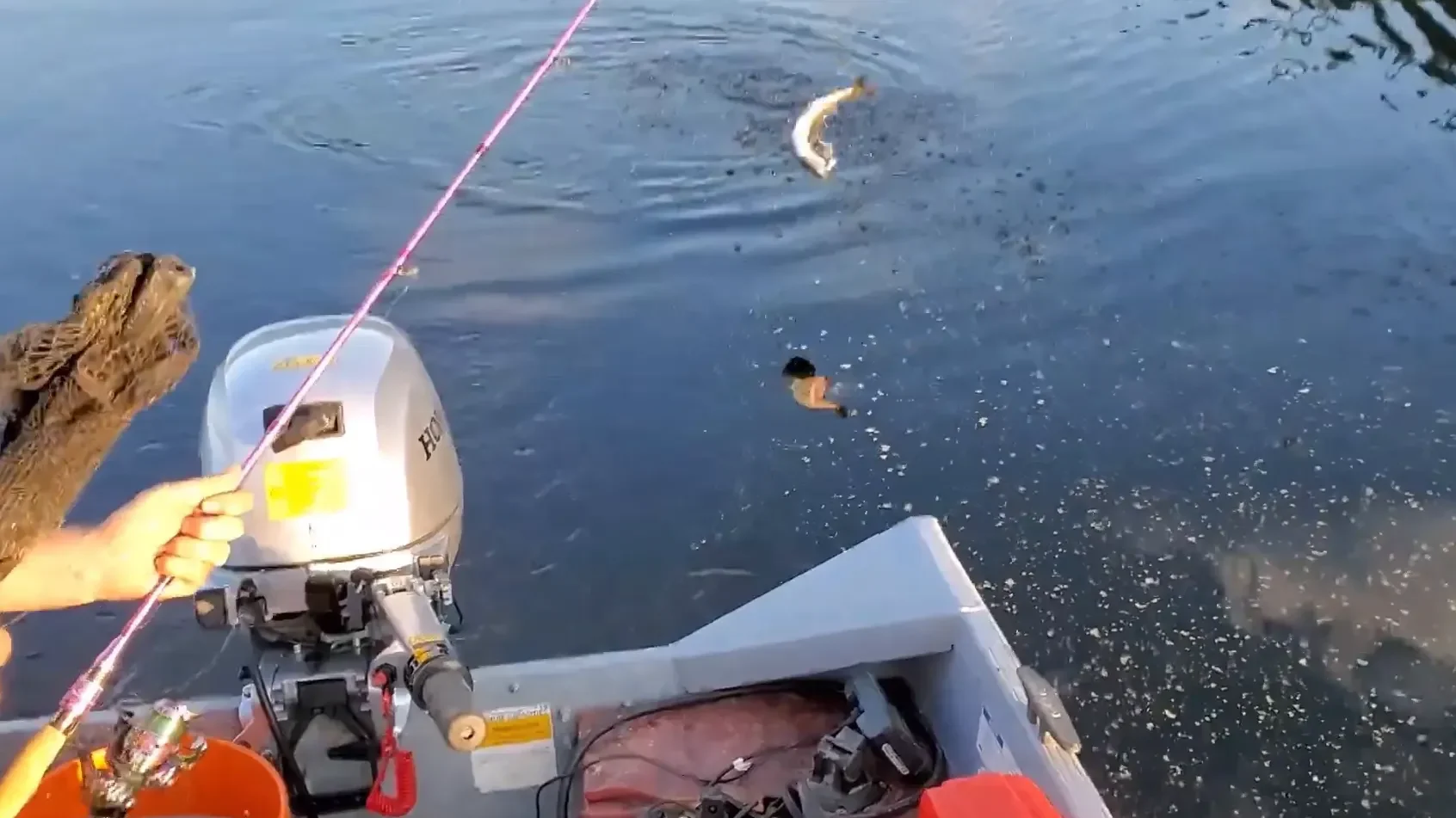 Attempting to catch a fish.