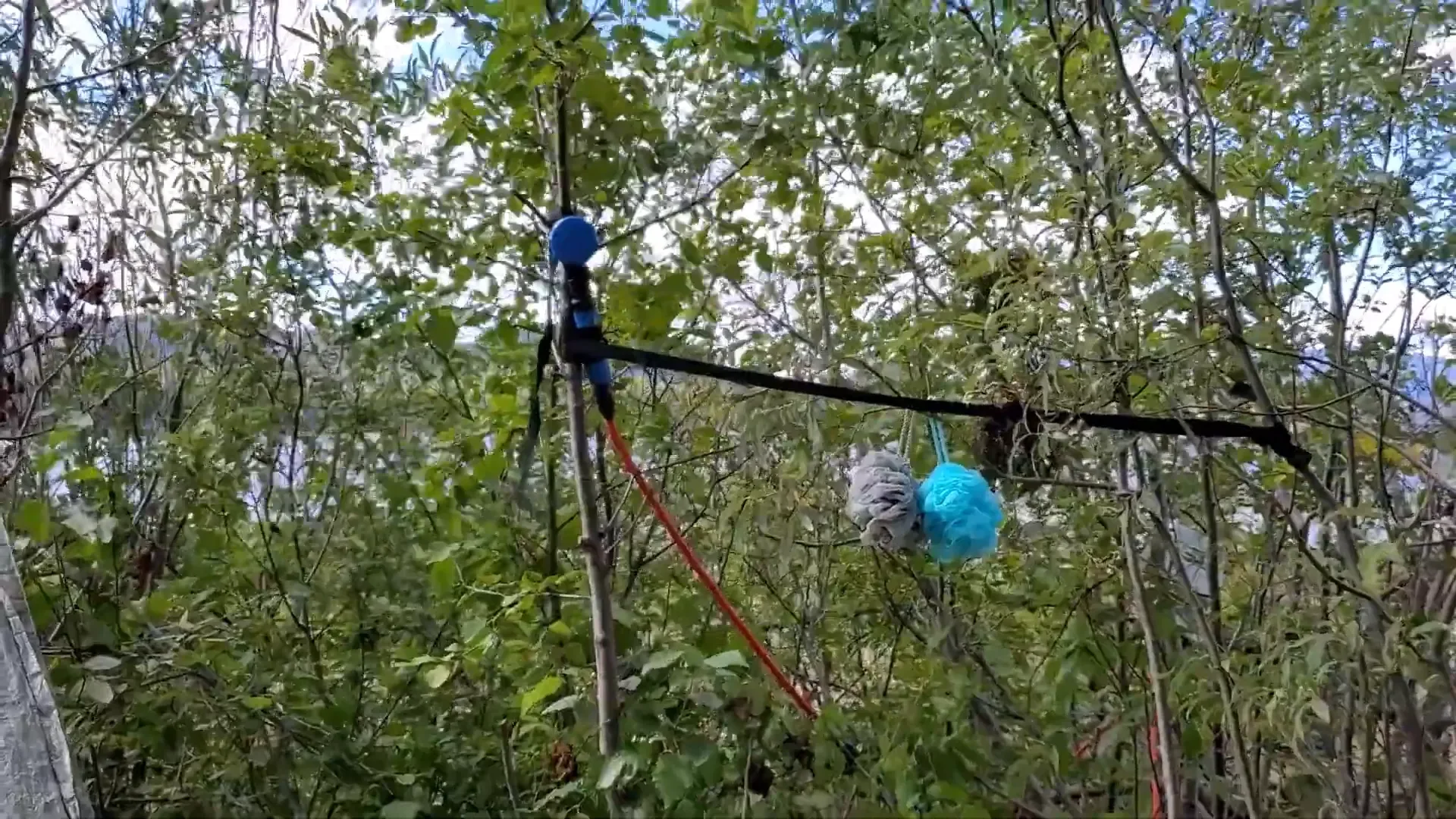 Our FIRST Night in our Tiny Cabin | S1 Ep26 1 First night in tiny cabin - joolca hot shower setup