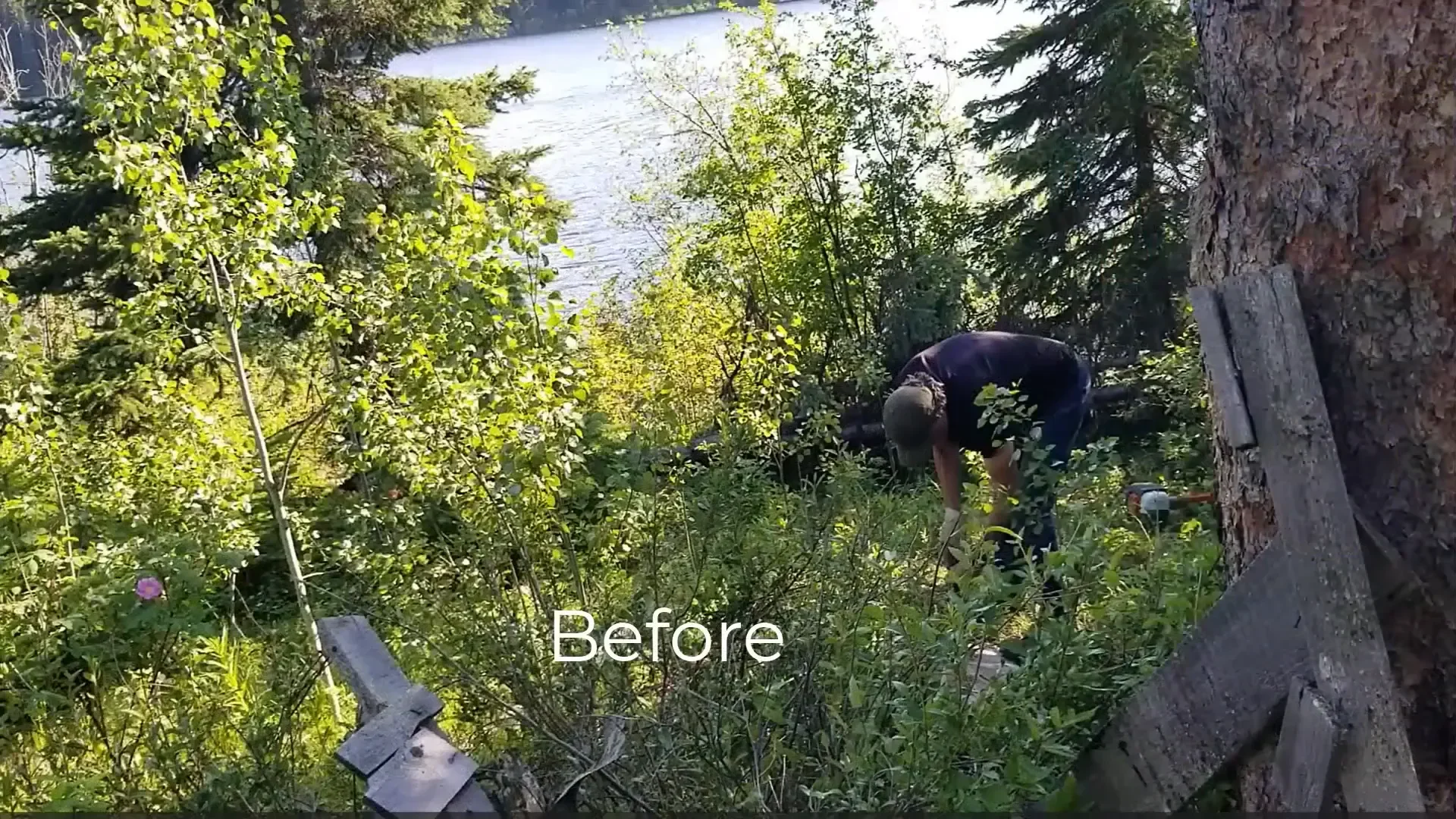 Clearing land lakeside cabin - before and after images of the site