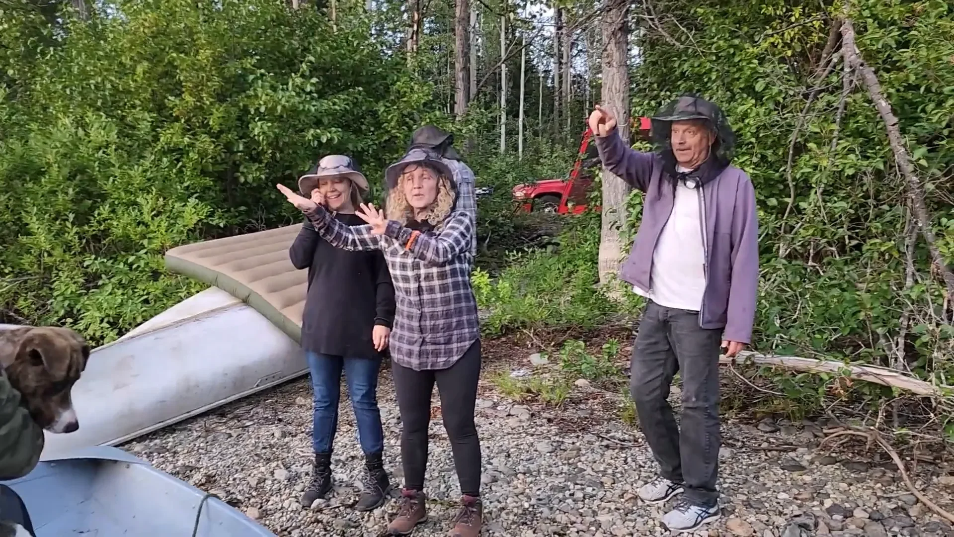 Amazing shed move - family reunion on the island