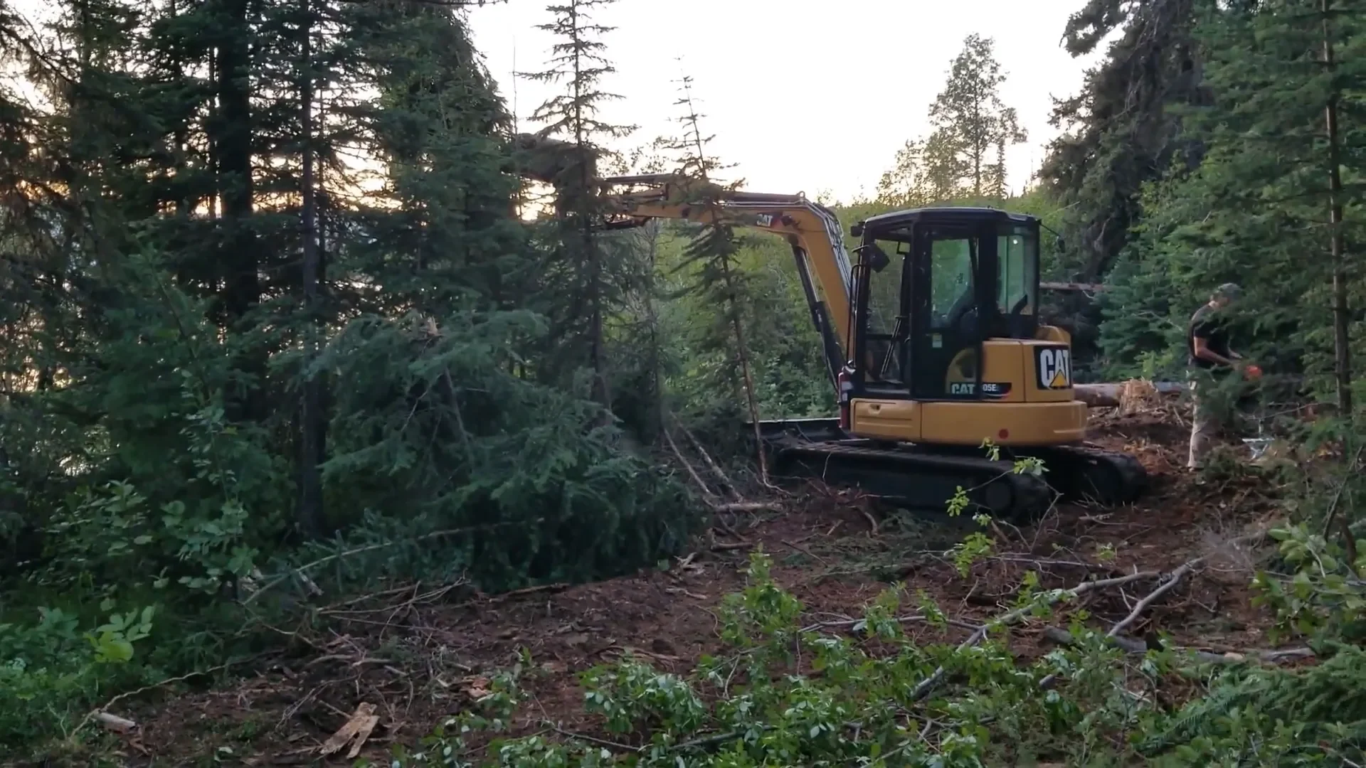 Dream Come True! We Build a Tiny Cabin Off Grid | S1 E19 5 Build a tiny cabin off grid - clearing dangerous trees from the site