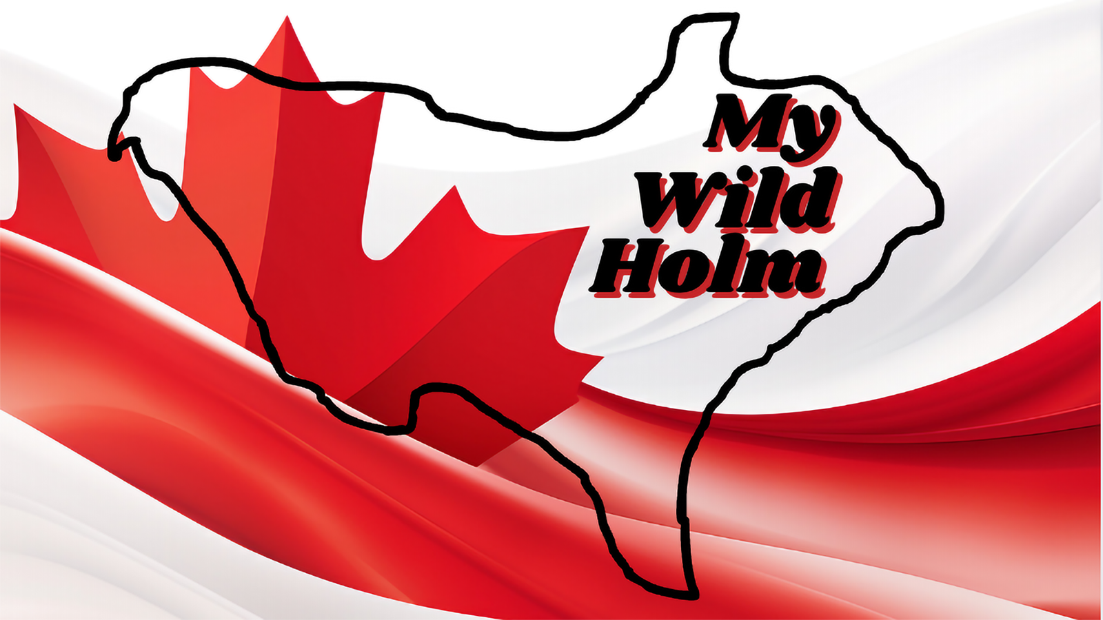 Flag Contest 10 2024 my wild holm flag contest entry 8