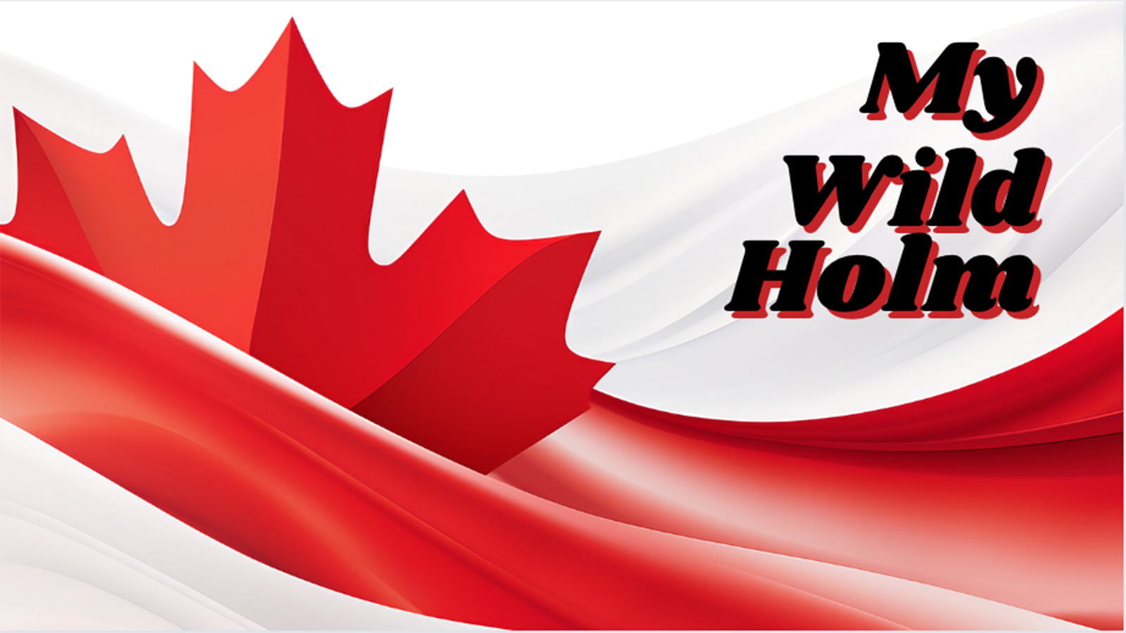 Flag Contest 3 2024 my wild holm flag contest entry 1