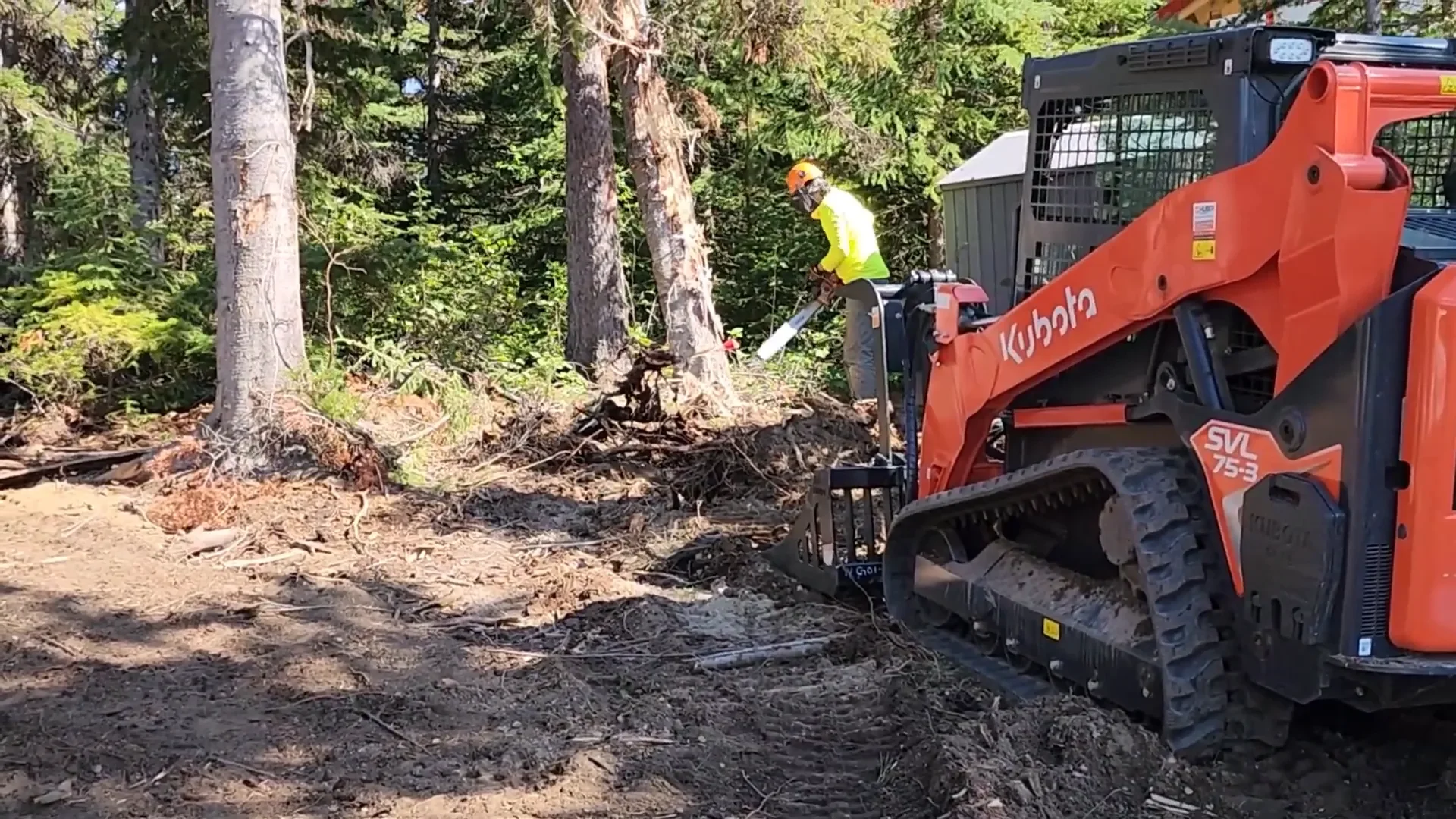 Tree felling the hard way - wedges used in tree felling