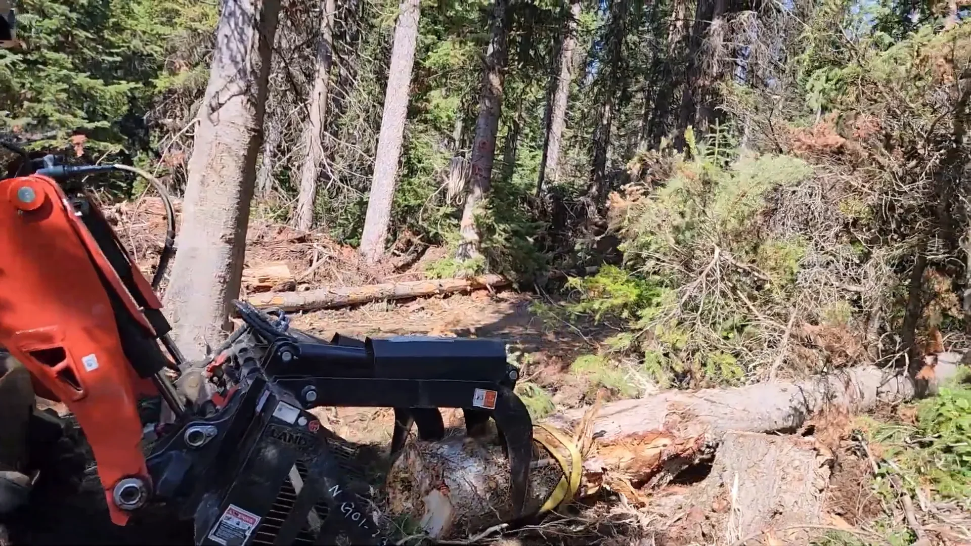 Tree felling the hard way - using kubota to push the tree