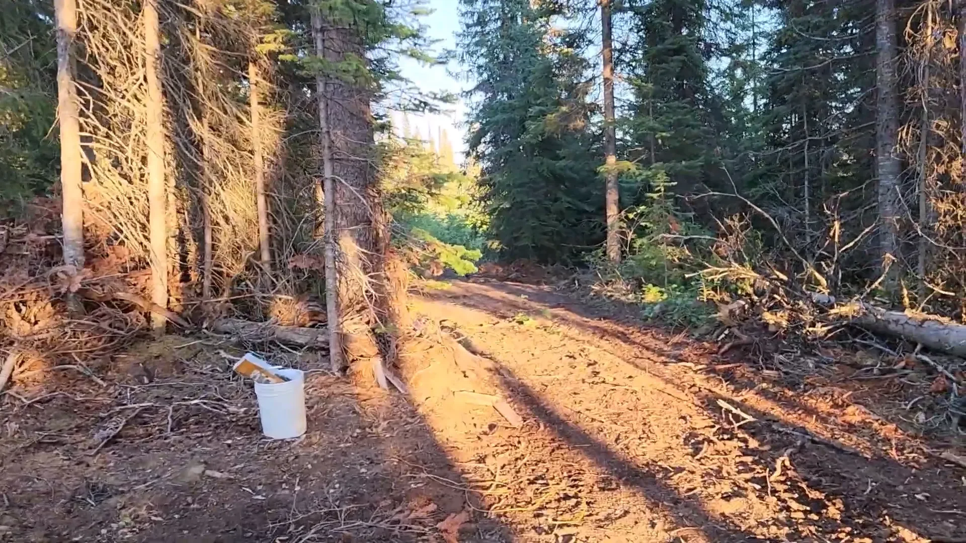 Tree felling the hard way - ryan stuck in the mud