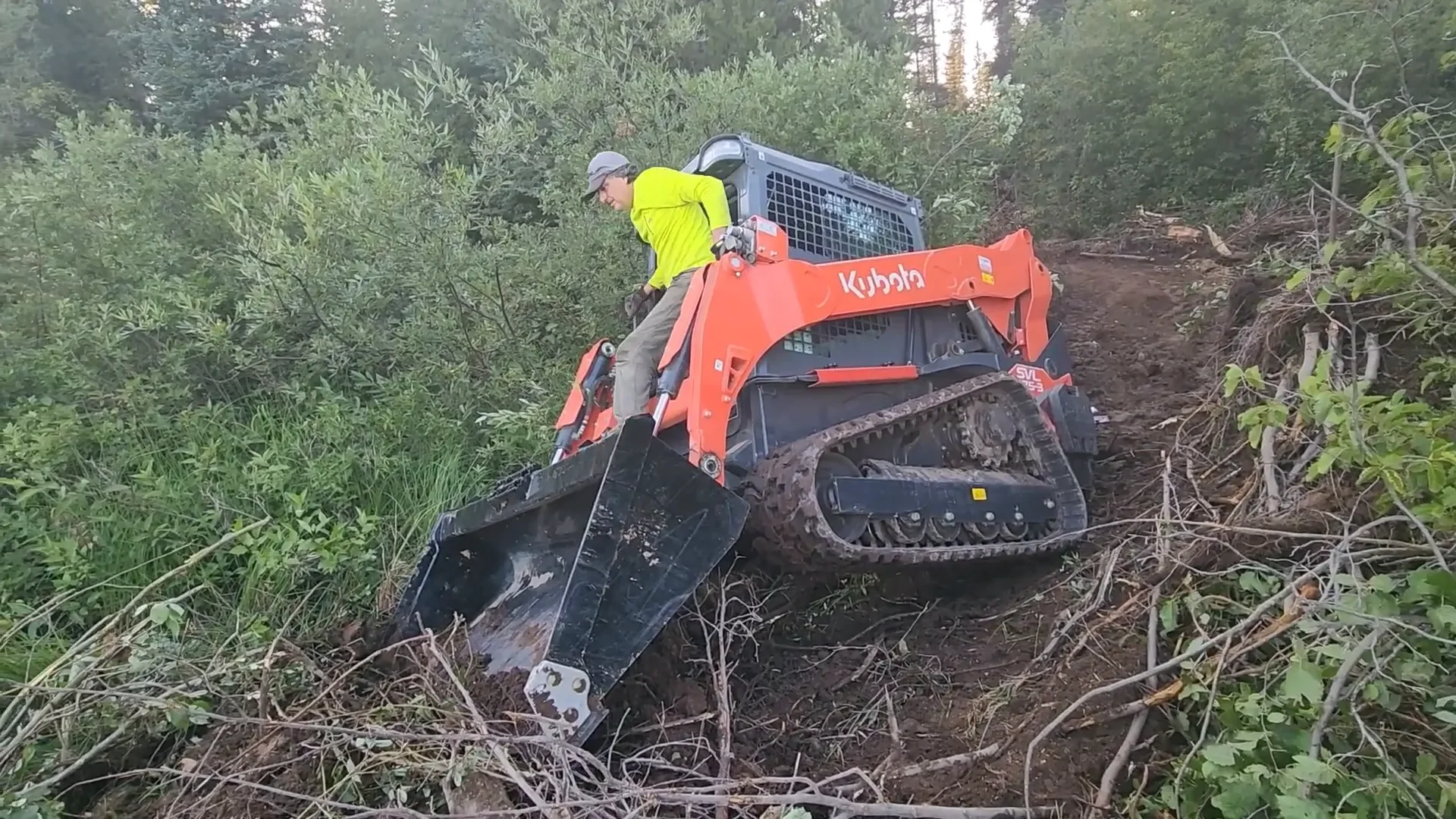 Tree felling the hard way - dealing with the aftermath