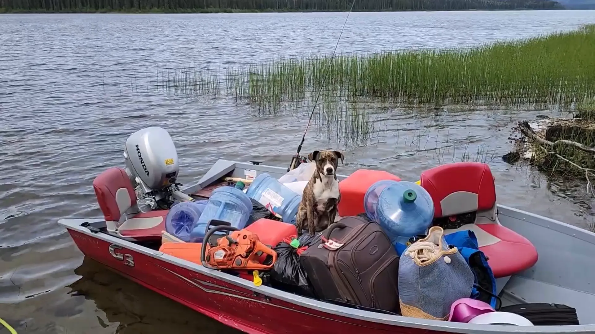 Opal excited for a boat ride