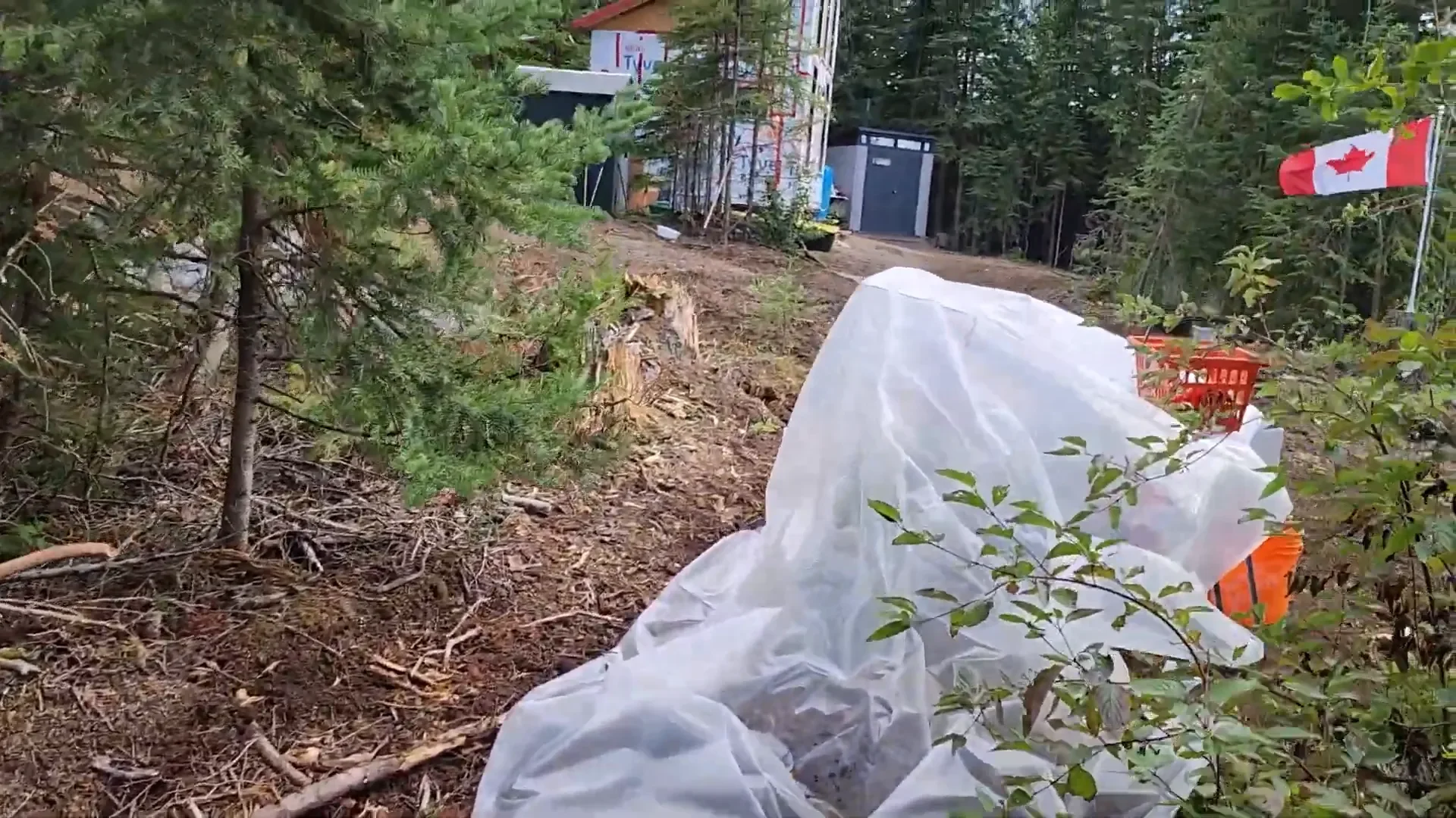 Off grid island - melodi's makeshift greenhouse