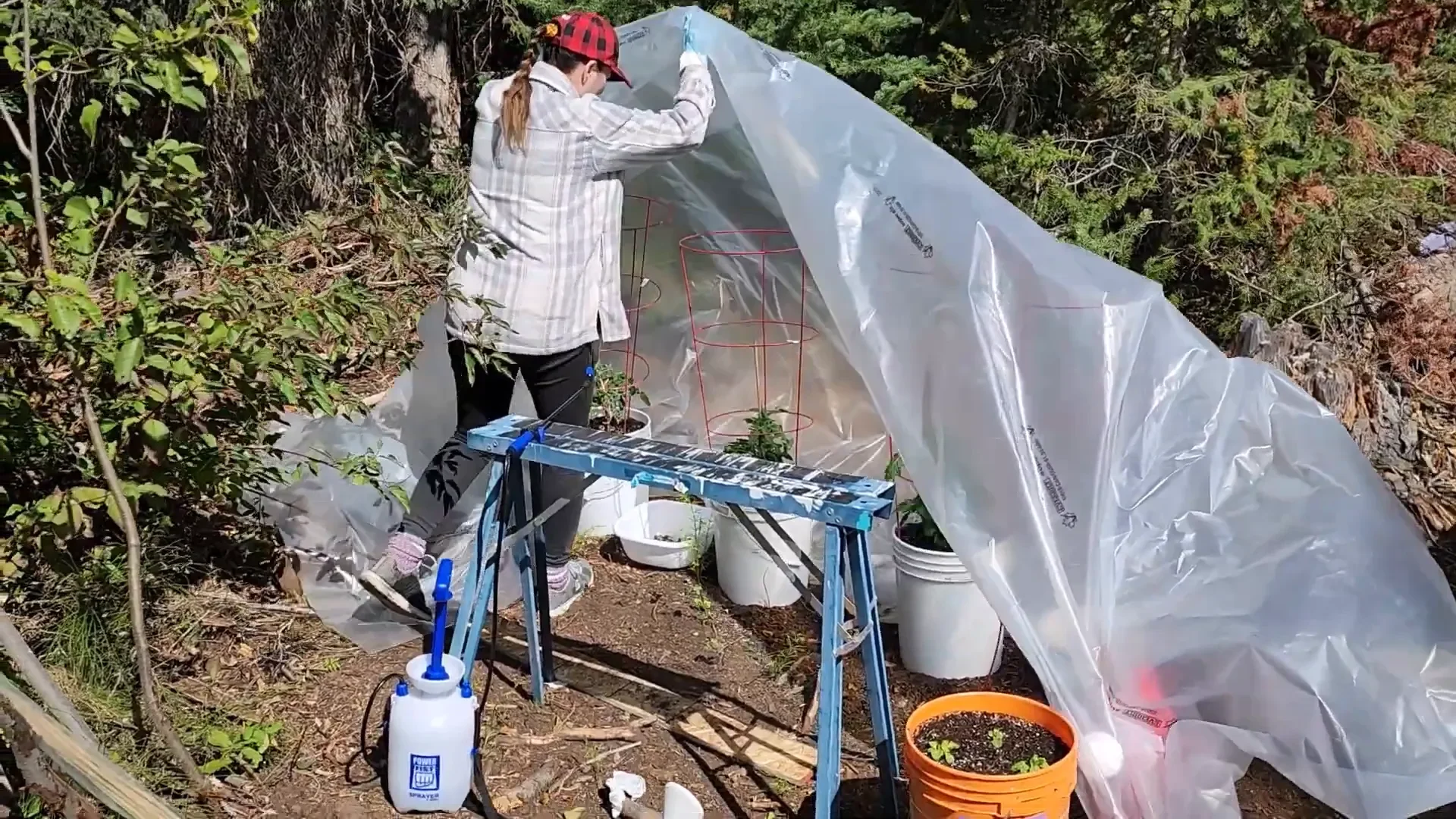 Off Grid Island Life: Fishing… in Pajamas? - S2 Ep31 1 Melodi assembling a greenhouse