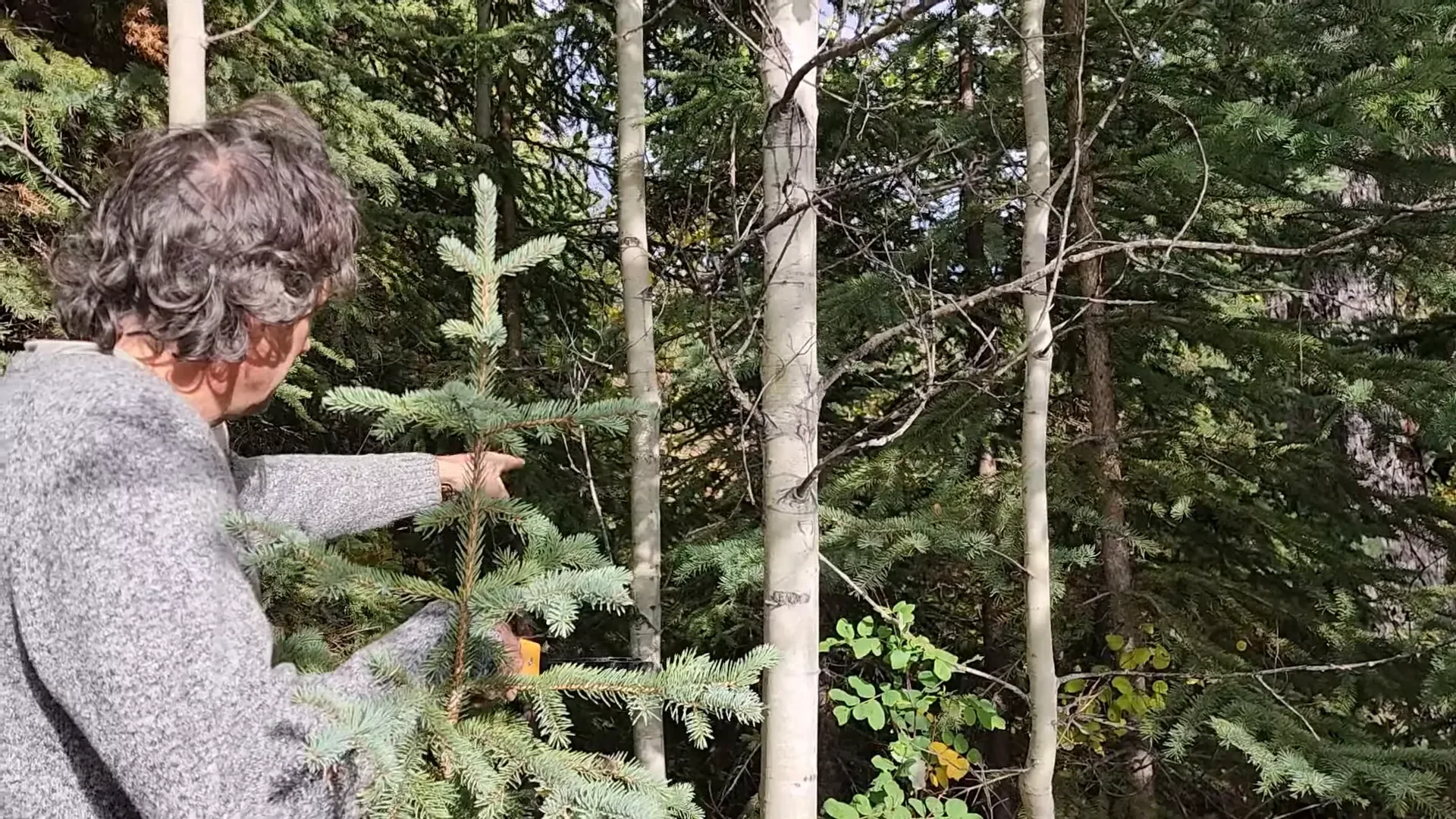 Searching for special trim pieces outside
