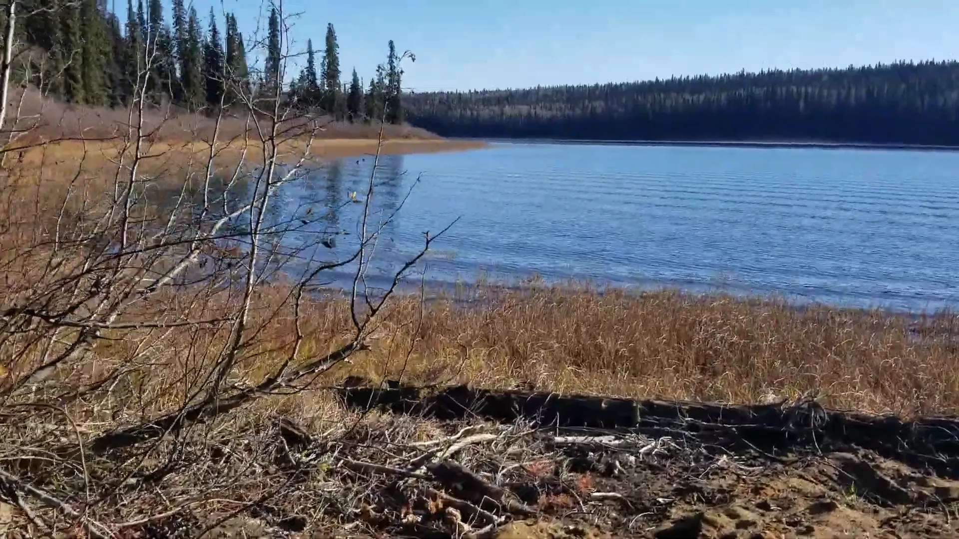 First ice forming on the lake at our off grid island homestead
