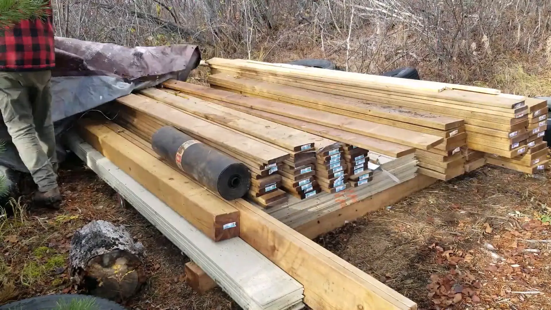 Gathering wood for the winter