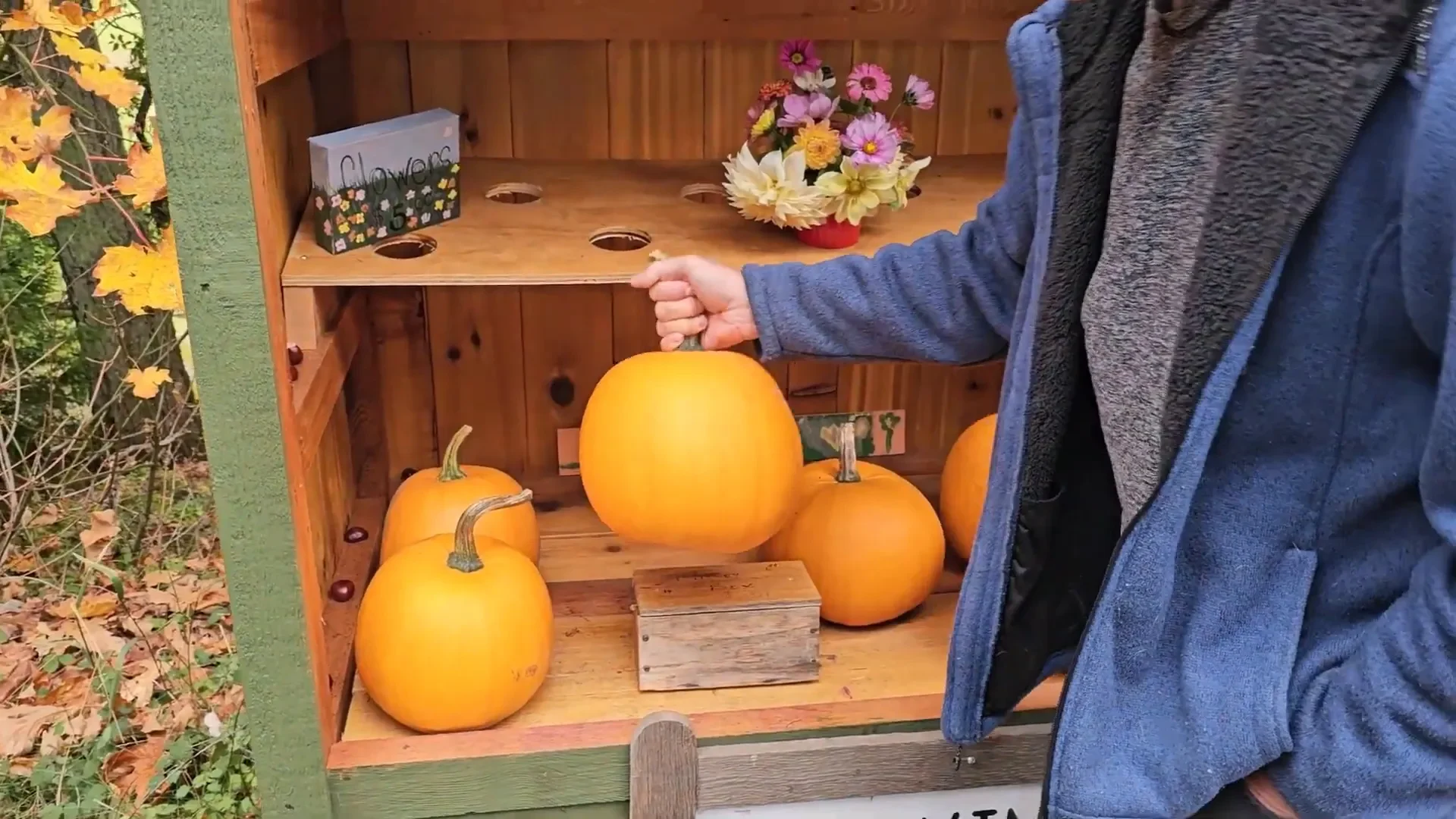 Picking out a pumpkin at the stand