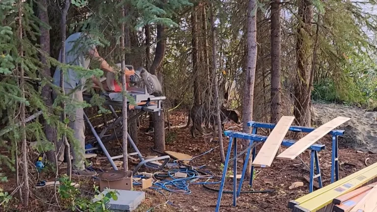 Cutting cedar siding with a miter saw - my wild holm - off grid wilderness living on a private island