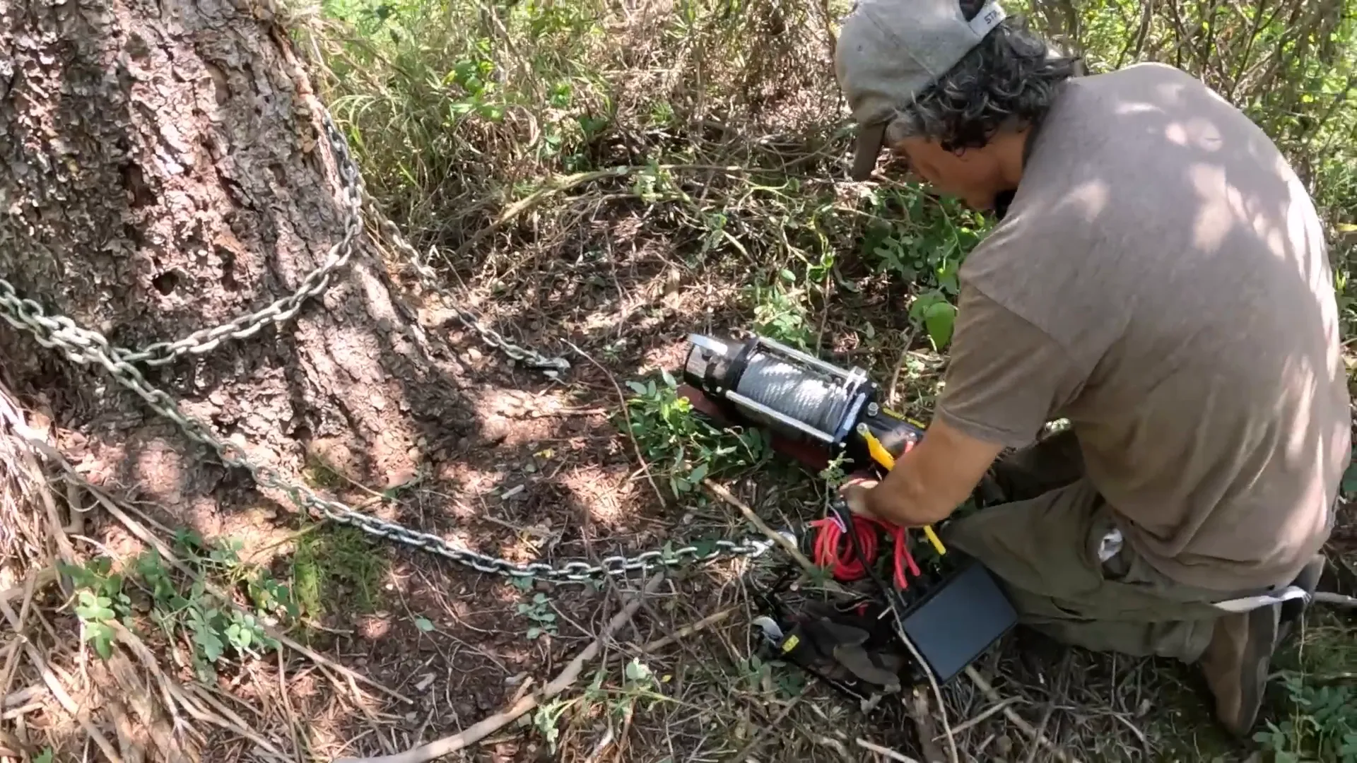 This is Our Toughest Task So Far - Will We Succeed? - S2 Ep26 2 A man connects a winch to the base of a large tree