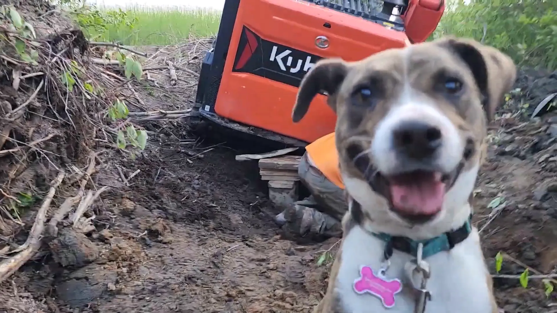 Is Our Toughest Task Too Tough? - S2 Ep27 3 A cute happy dog photo-bombs an equipment recovery scene