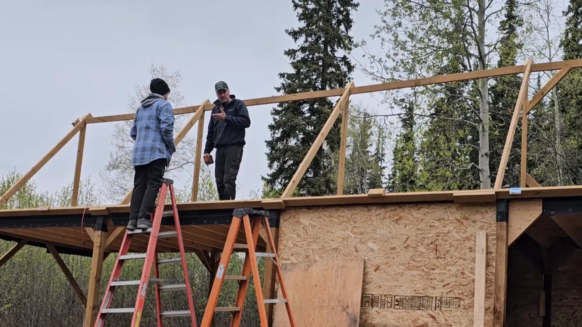 Off grid challenge - assessing the winter damage at the homestead