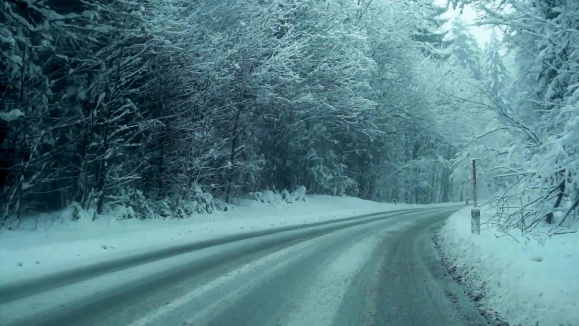 The road home