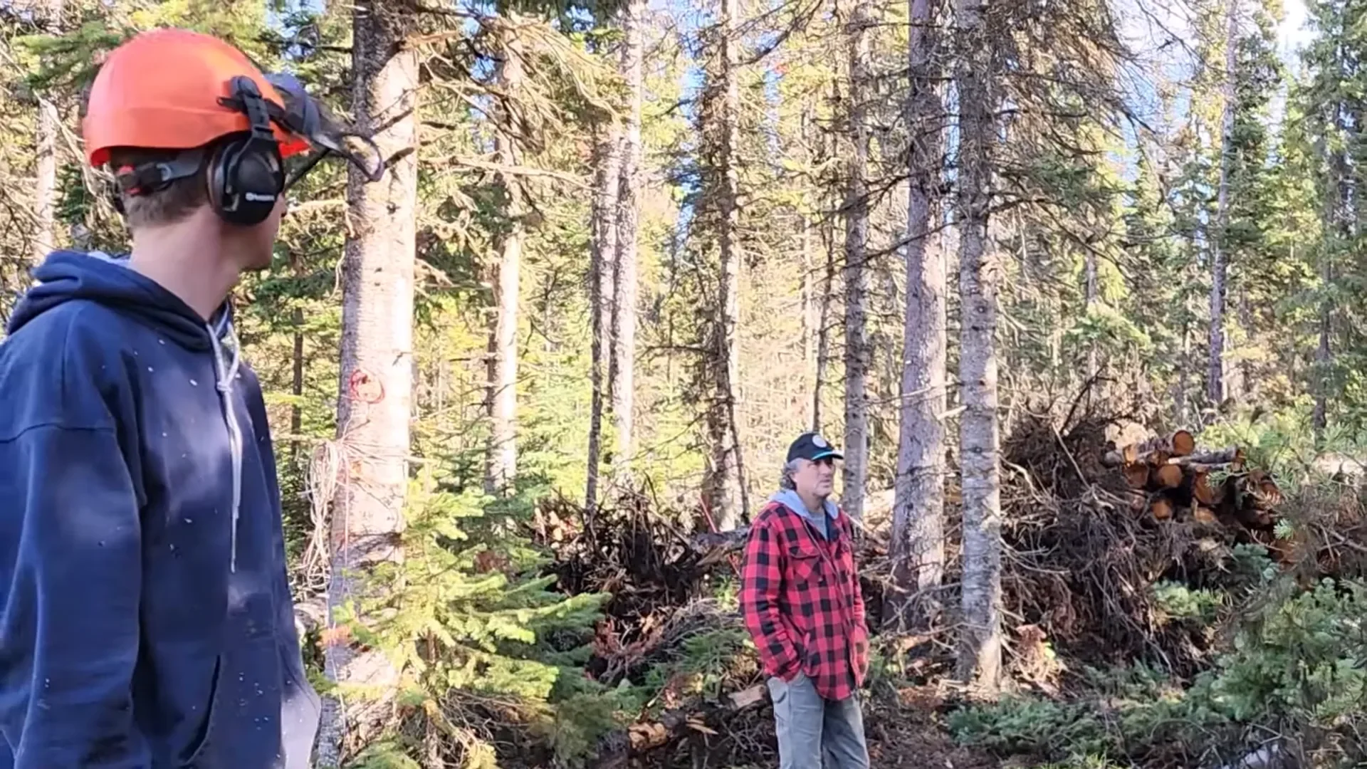 Alan and jeremy demonstrating tree falling techniques