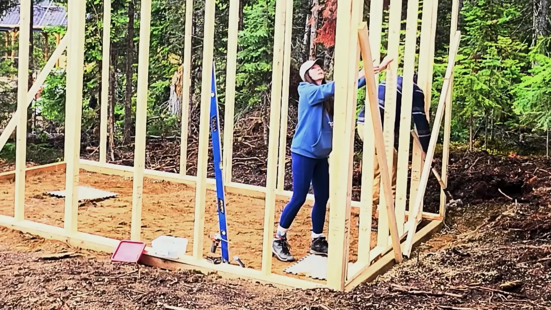 A pretty lady helps erect stud walls of an off grid greenhouse