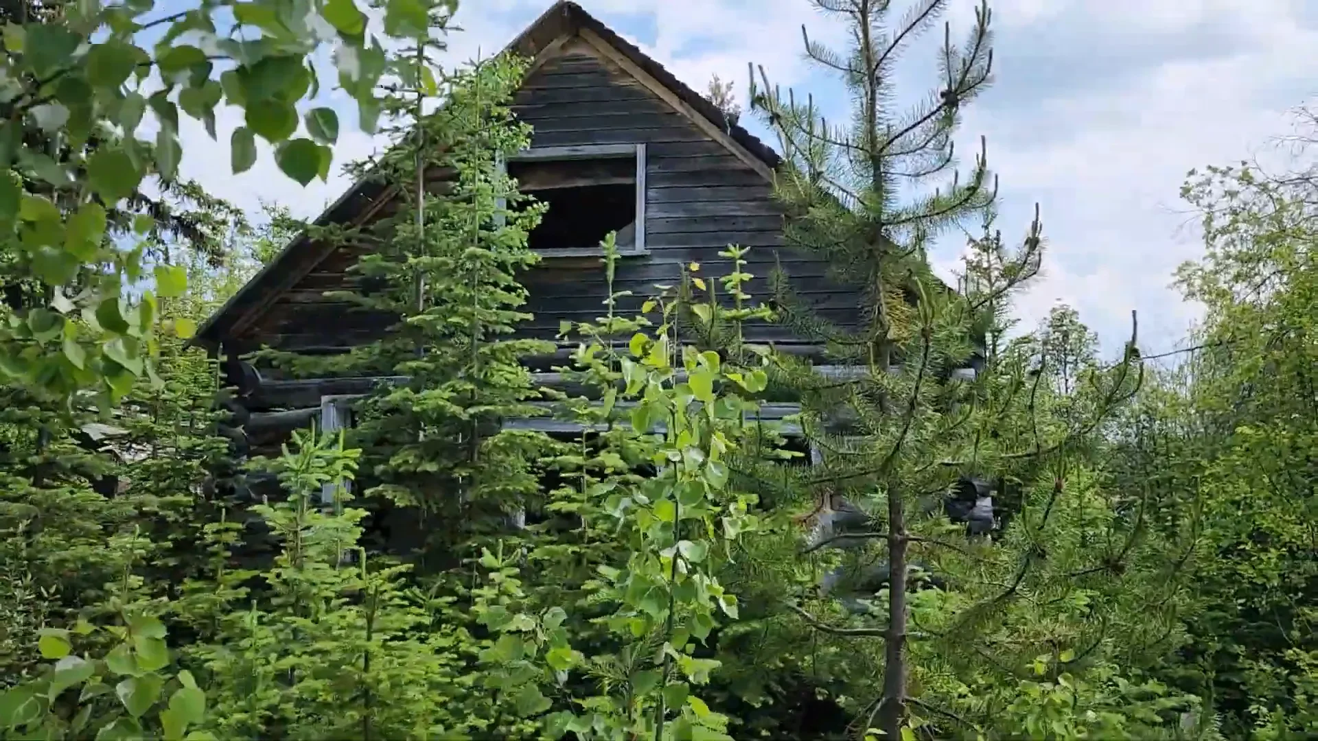 Clearing land road building - bird family cabin ruins