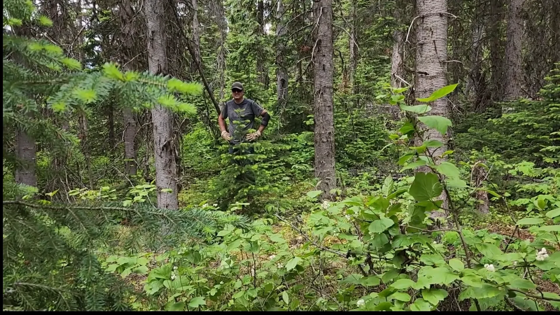 Clearing land road building - potential building spot