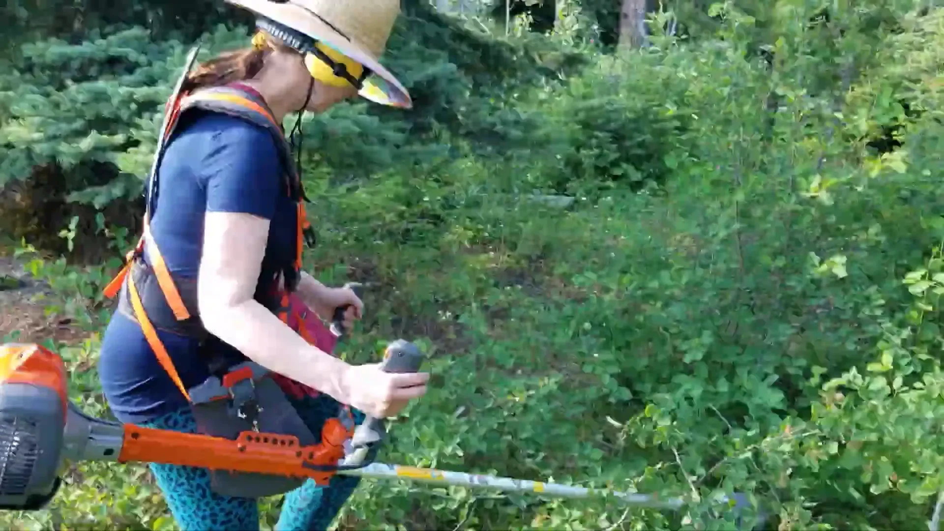 Clearing land road building - melodi using husqvarna bush cutter