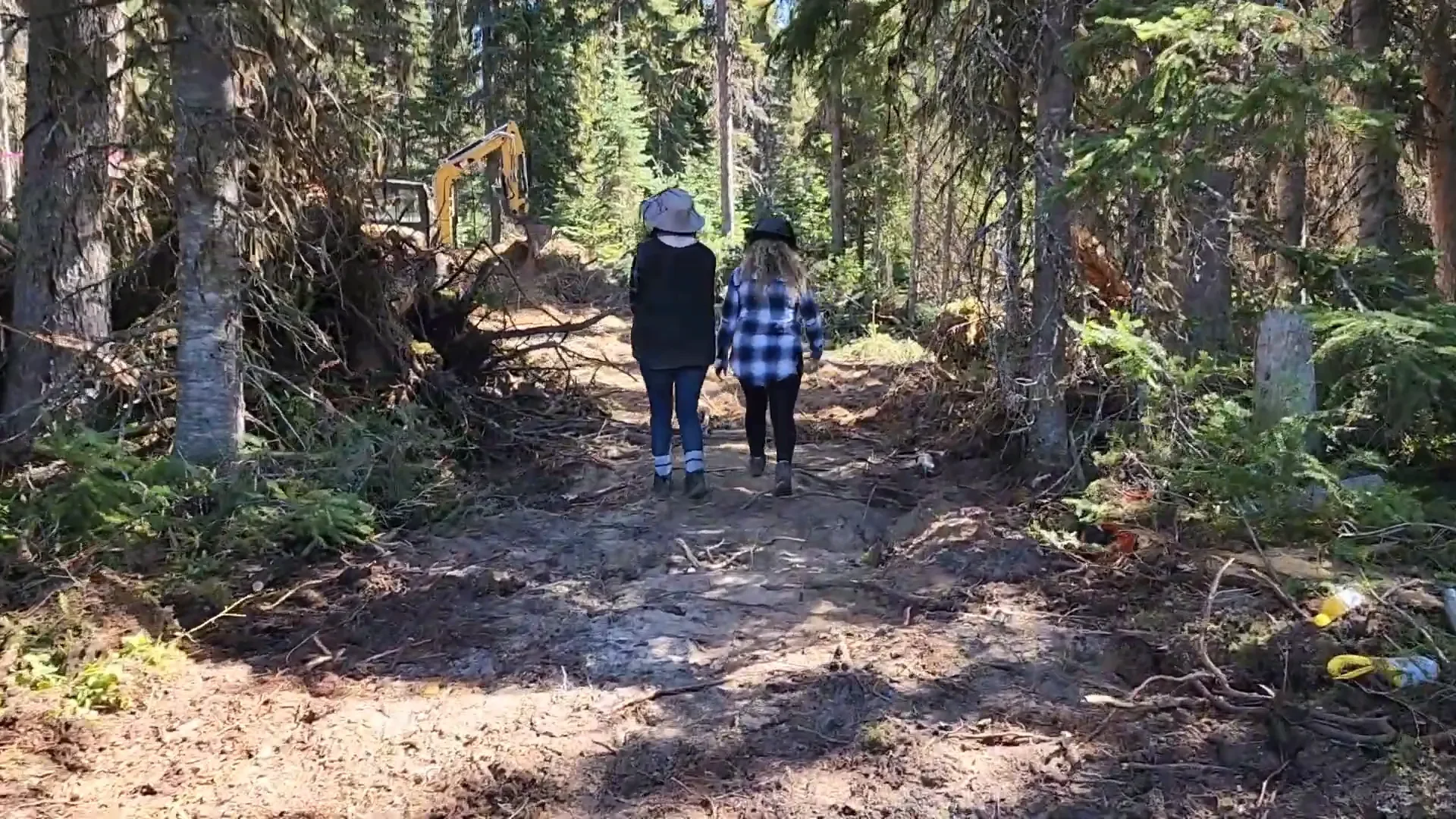 Build tiny cabin off grid island - walking through the cleared road