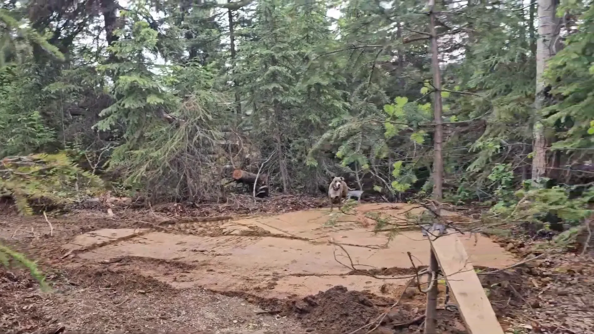 Cabin build site prep - levelling the site