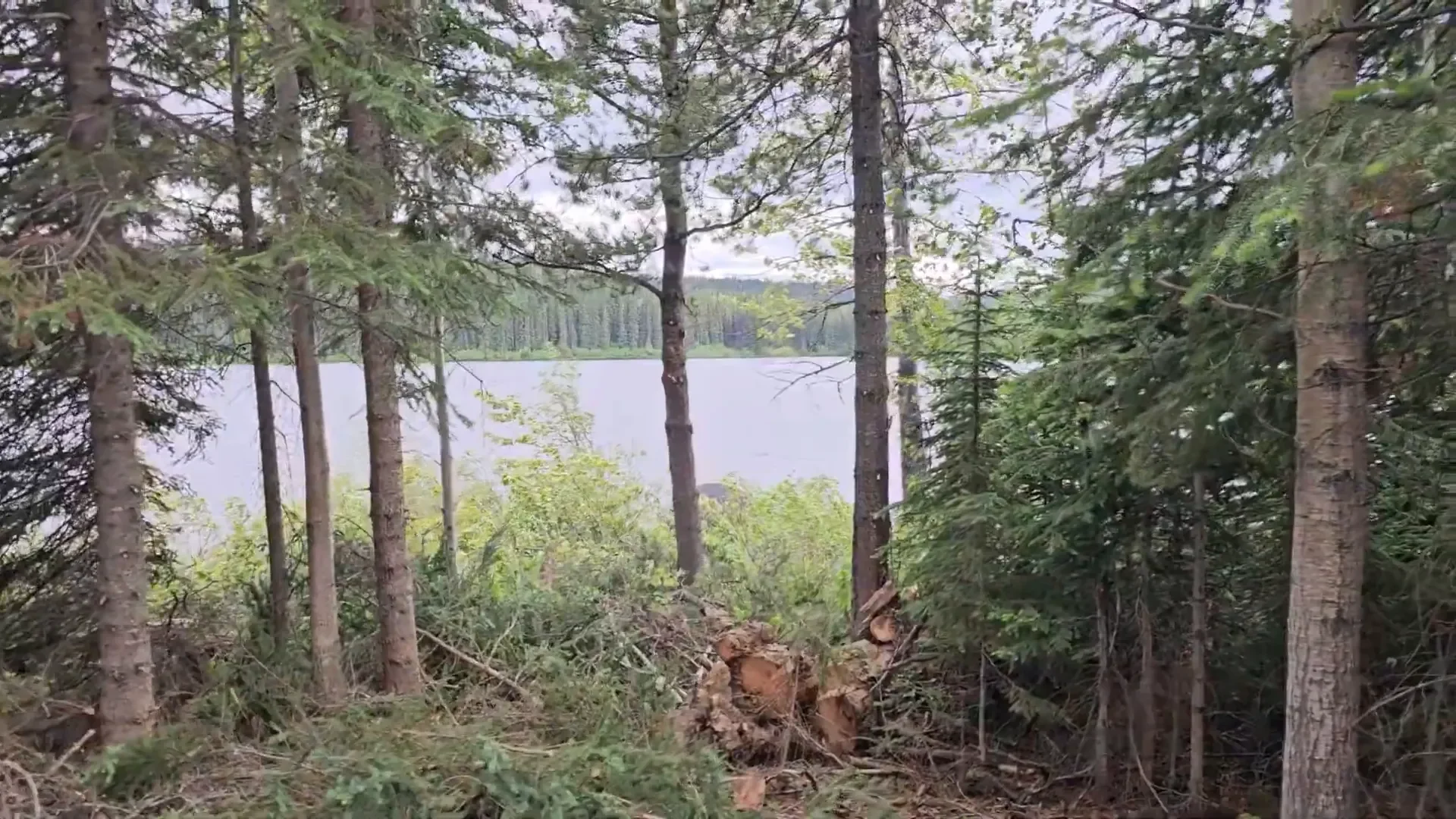 Cabin build site prep - what a difference!