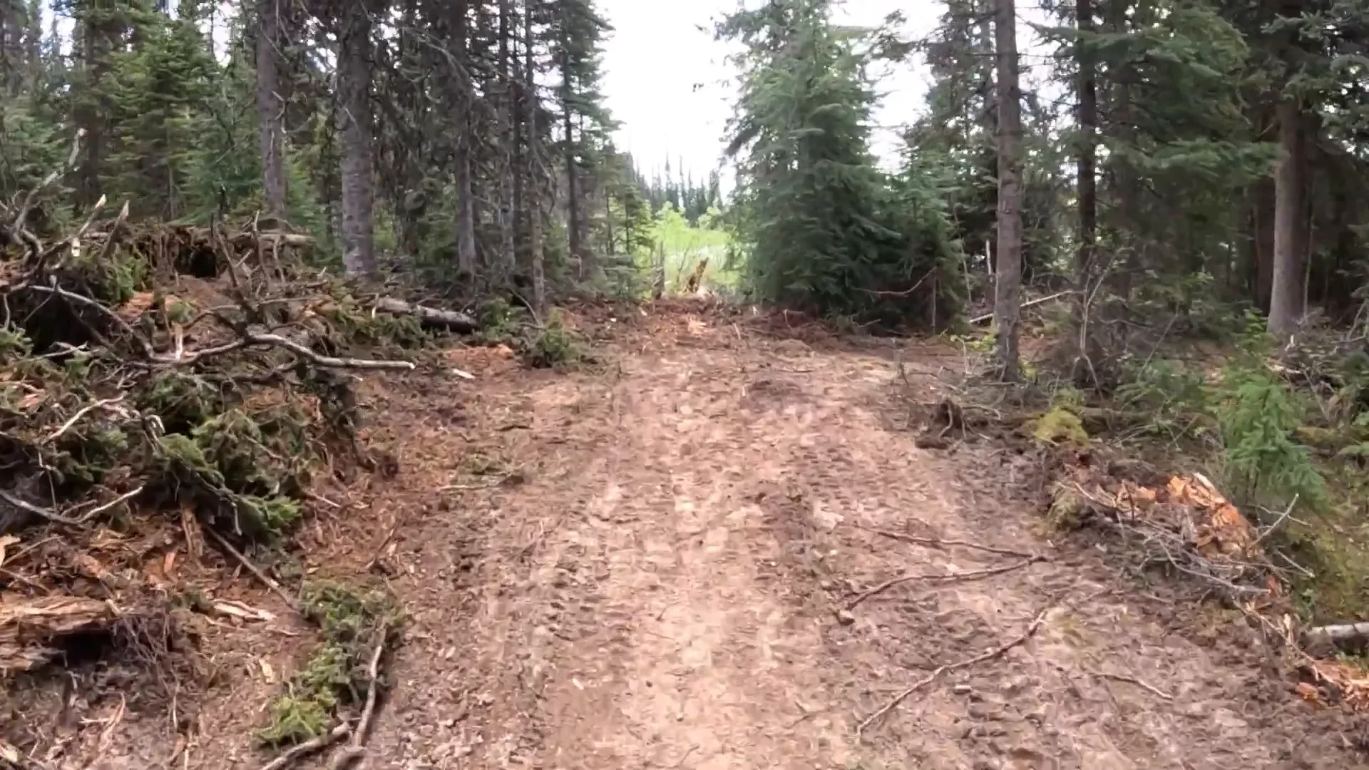Bonus footage of island life