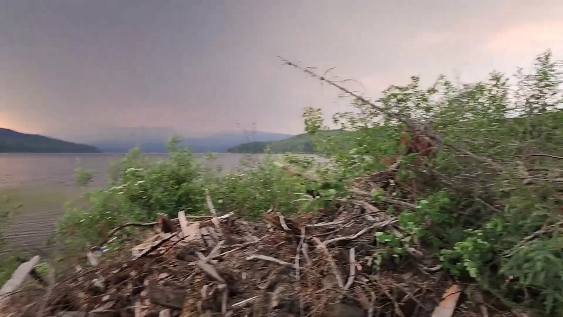 Catch and cook fishing trout - super smokey skies!