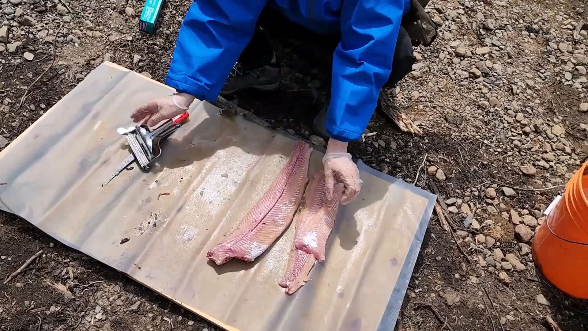 Catch and cook fishing trout - into the frying pan...