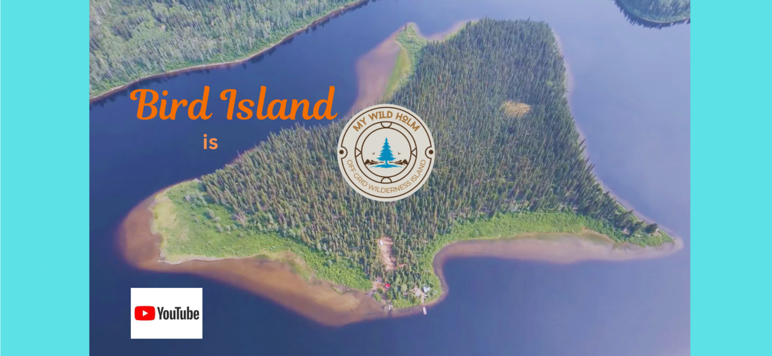 My wild holm - flag design entry 7
