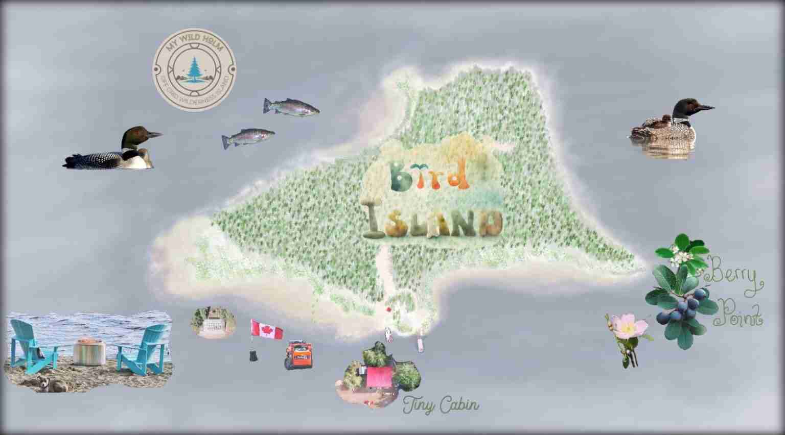 My wild holm - flag design entry 12