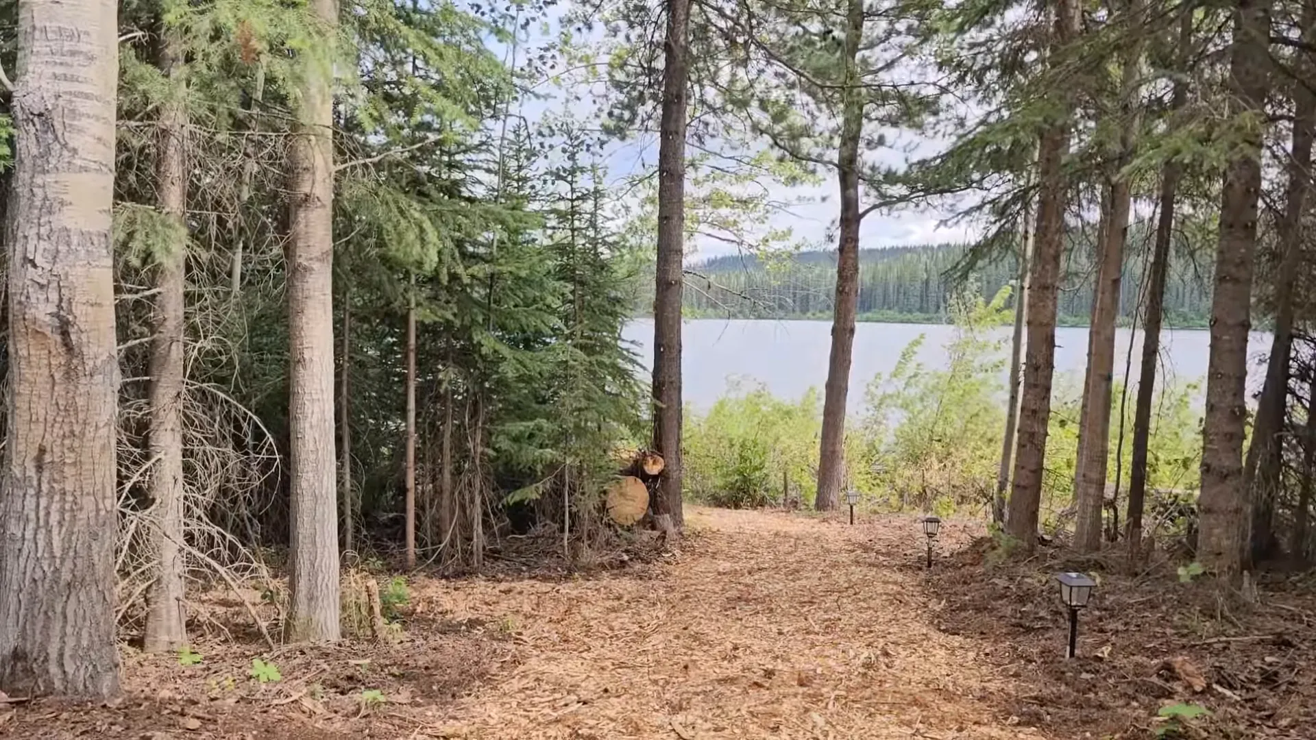 View from the shed-bedroom looking out to serene lake and trees