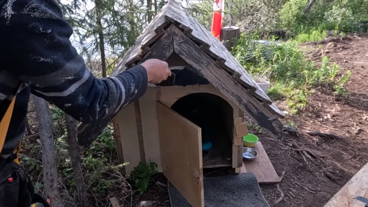 Off Grid Cabin Build: Facing Fears on Homemade Scaffolding After My Bad Fall | S4 Ep9 2 Close view of a paint roller applying dark paint to the gable trim of a small wooden dog house on the homestead