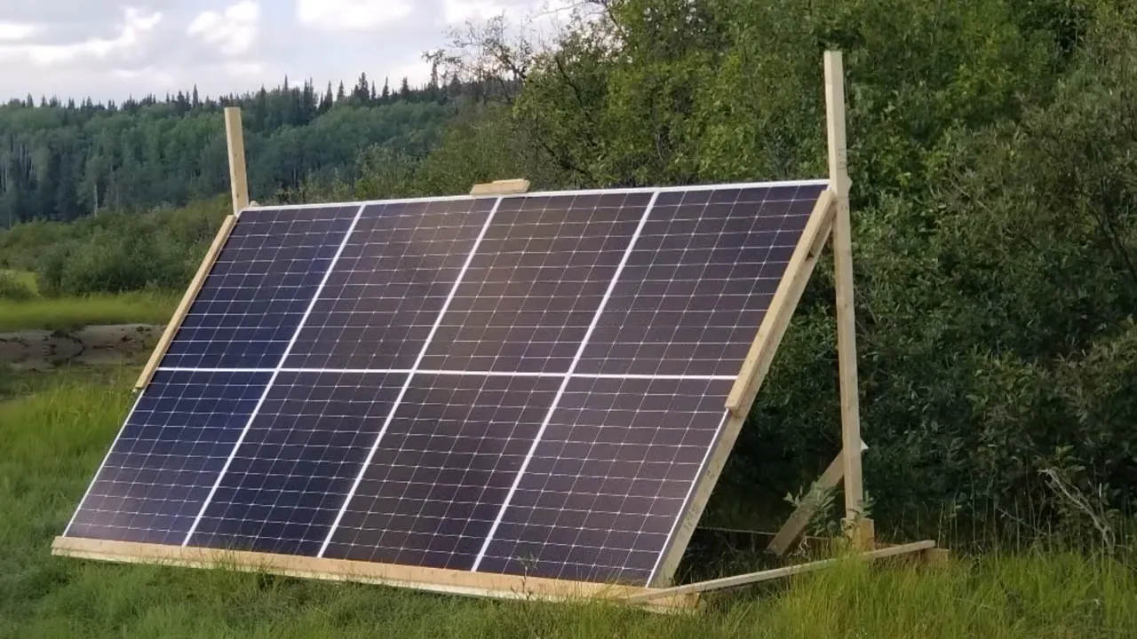Black Bear Encounter on Our Remote Island – Our Dog Chases a Huge Bear Up a Tree! – My Wild Holm S3 Ep26 8 We thought our remote wilderness island was bear-free. We were wrong! - night walk with buried solar lines visible near the path