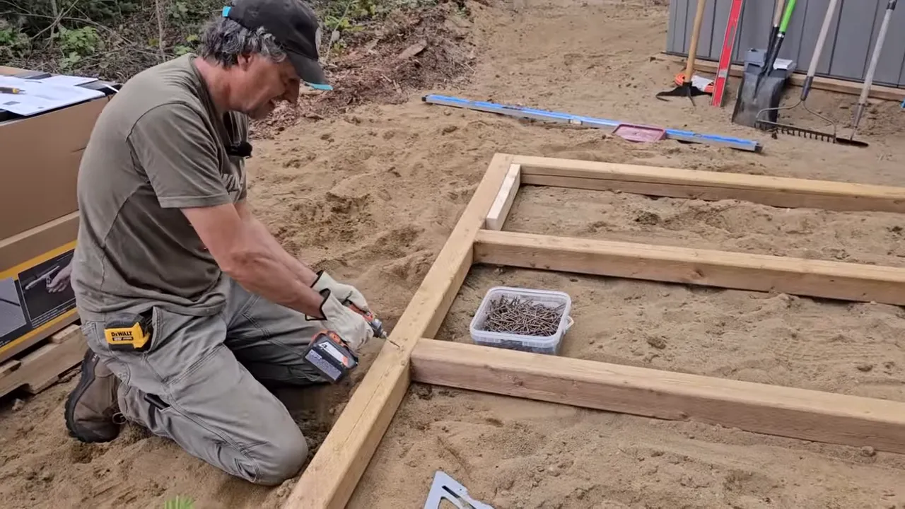 Black Bear Encounter on Our Remote Island – Our Dog Chases a Huge Bear Up a Tree! – My Wild Holm S3 Ep26 2 We thought our remote wilderness island was bear-free. We were wrong! - framing the second shed-room on the shoreline