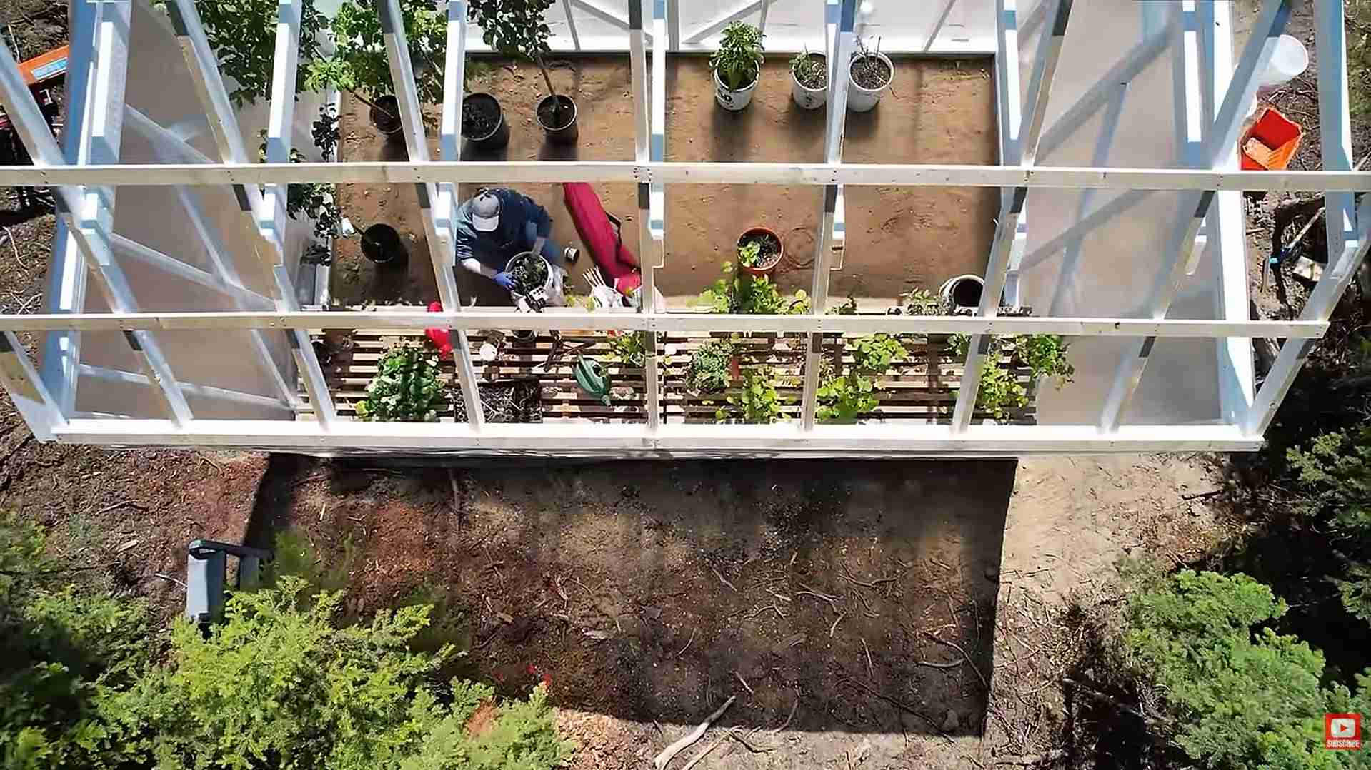 Open roof greenhouse garden - my wild holm - off grid wilderness living on a private island