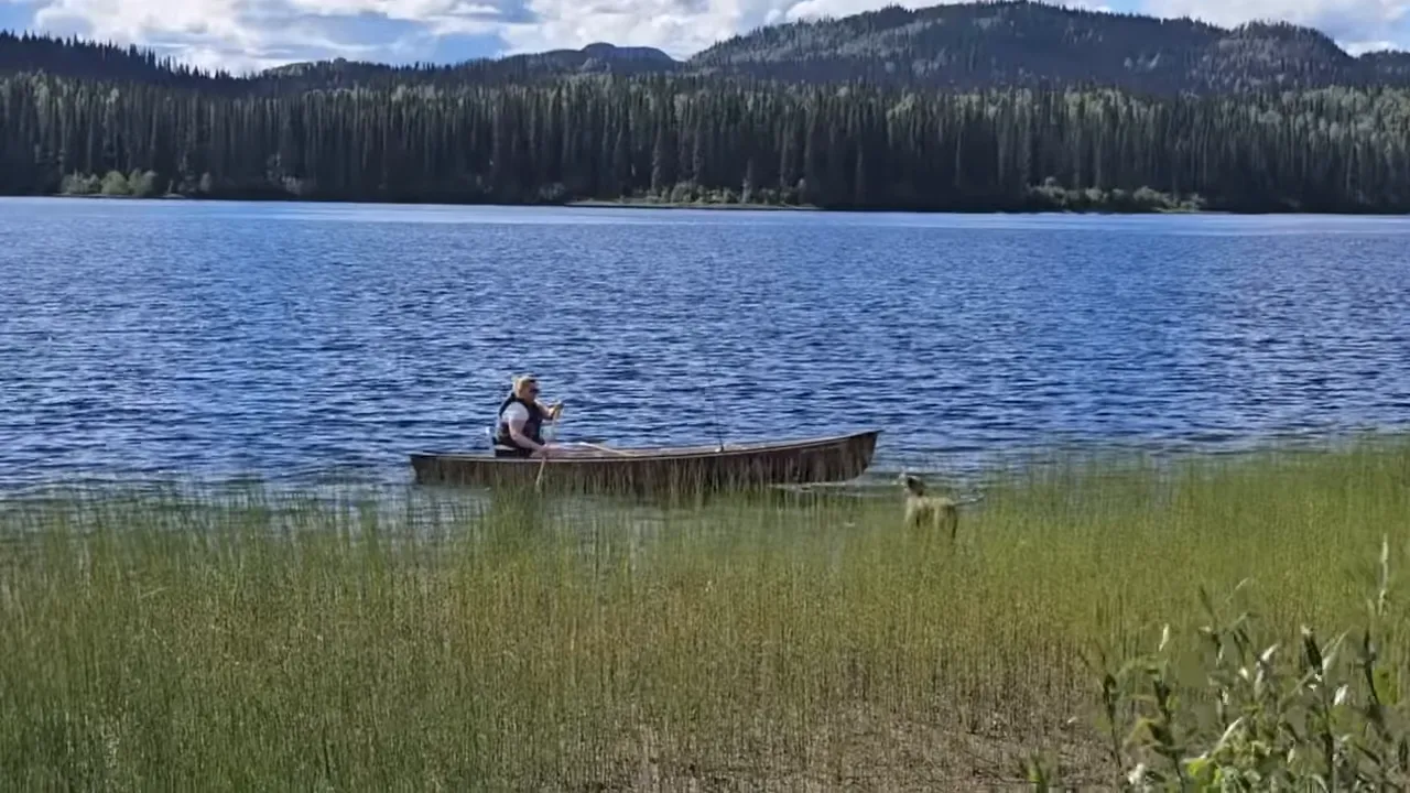 Remote island homestead – a wild dream! Look how far we've come! – my wild holm s3 e29 - opal meeting our guest on the dock