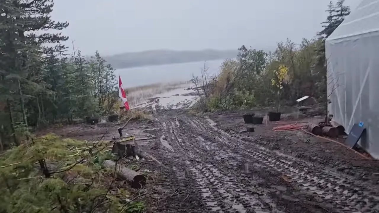 Axe embedded in a tree stump with hoses, muddy vehicle tracks and the lakeshore visible in the background.