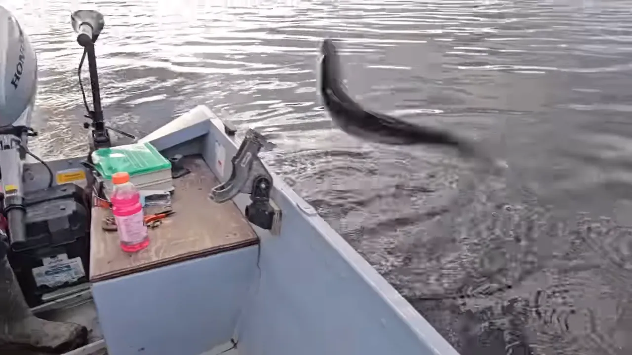 Orange bait bucket and fishing rod reel on a small boat deck.