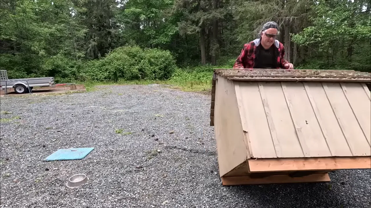 Wet plywood and plank next to damaged doghouse area