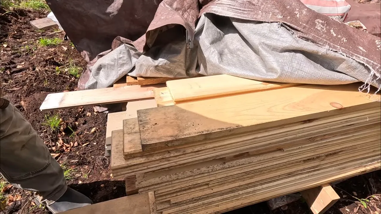 Stack of white poplar boards under a tarp, showing surface mold
