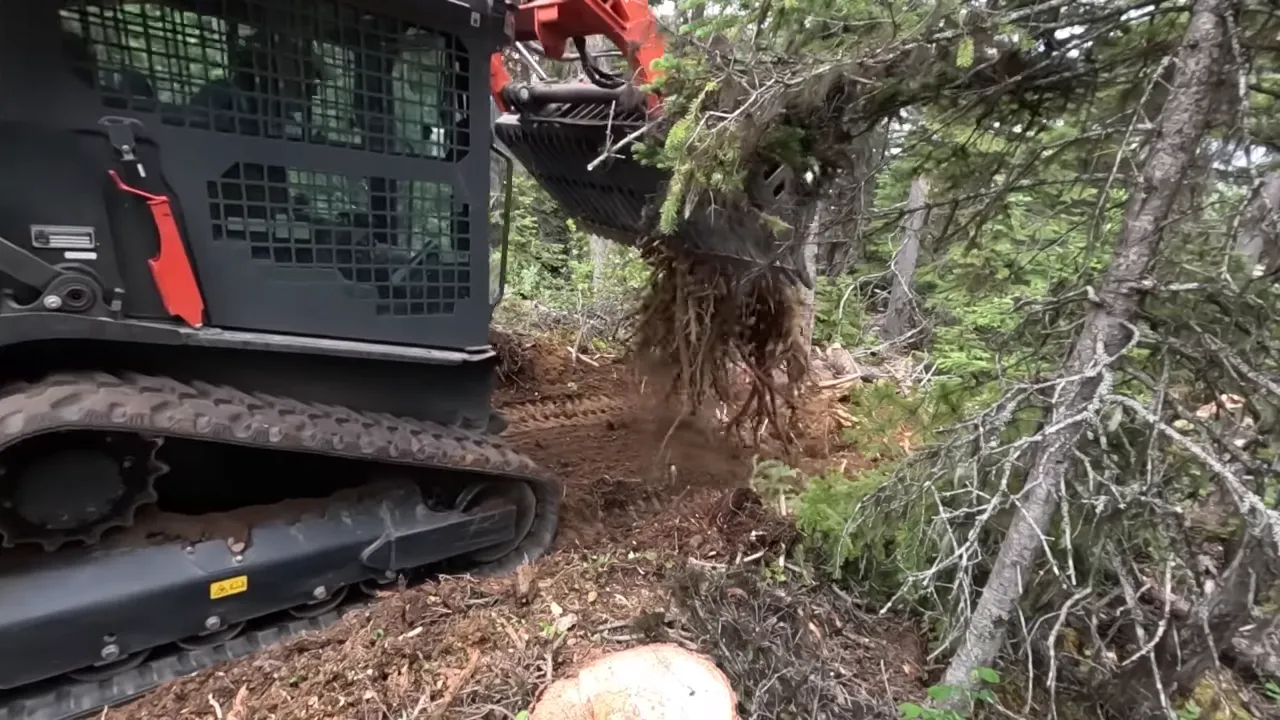 Tracked skid steer with bucket holding a dangling root ball while dirt falls away during clearing work.