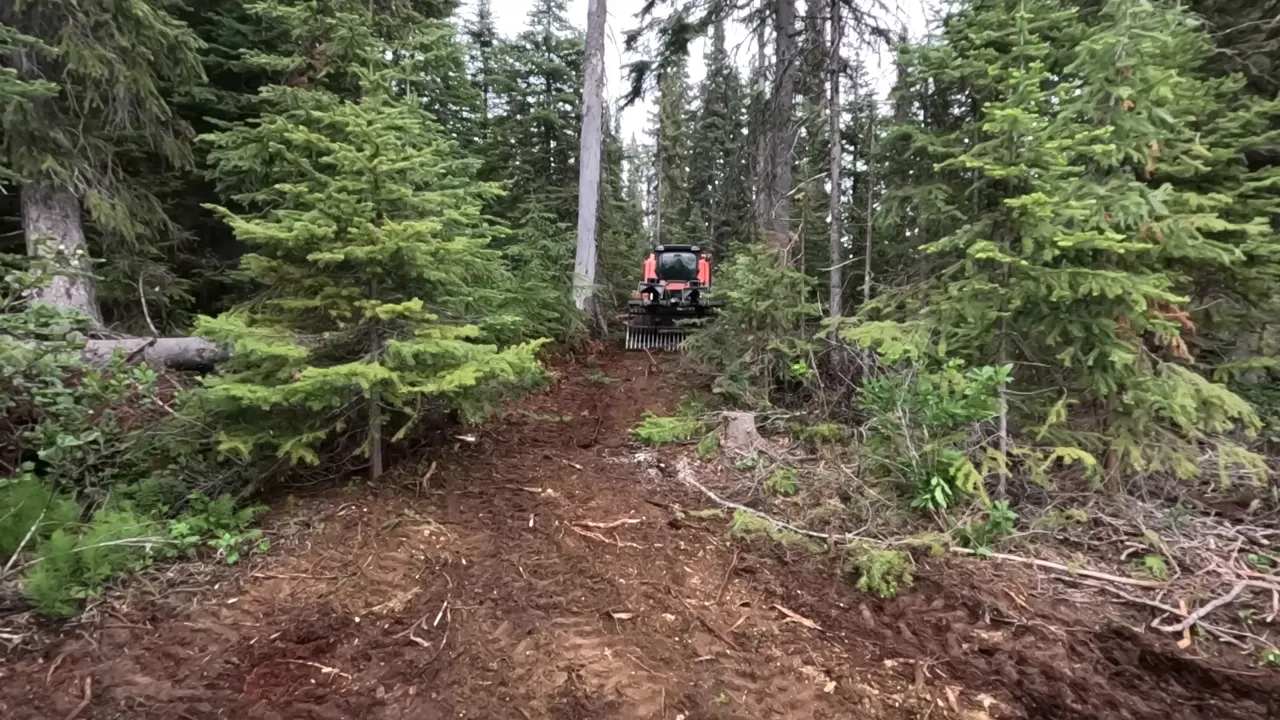 Front-facing tracked skid steer on a slope clearing brush and soil to create access for a future bunker site.